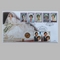 1998 Diana Princess of Wales 1981 Gold Sovereign Coin Cover - Benham Covers