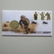 2008 The Territorial Army 100th Anniversary Medal Cover - Royal Mail First Day Cover