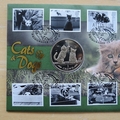 2001 Cats and Dogs  1 Crown Coin Cover - Benham First Day Cover - Signed