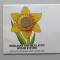 1985 Welsh Brilliant Uncirculated One Pound Coin Cover - UK First Day Cover Royal Mint