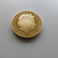 2012 The Queen's Diamond Jubilee Gold Plated 50p Pence Coin - Informal Photograph