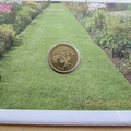 2009 Plants Action For Species 1 Pound Coin Cover - First Day Cover by Mercury