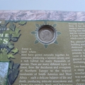 2000 The New Millennium Saving The Forest Sixpence Coin Cover - Benham First Day Cover - Signed
